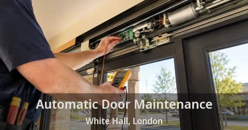 Automatic Door Maintenance White Hall, London - ON