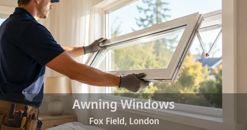Awning Windows Fox Field, London - ON