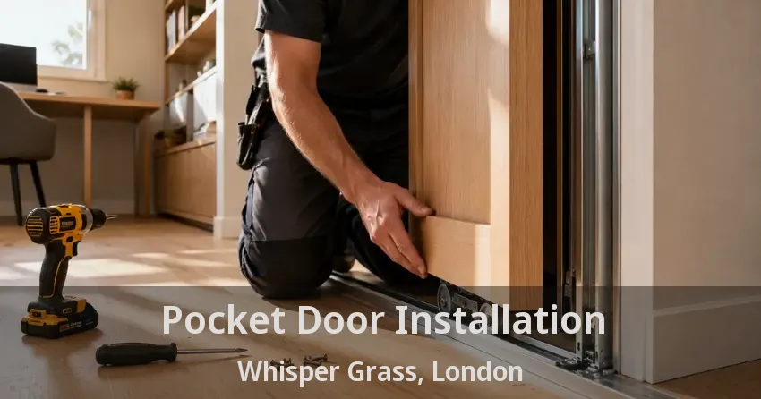 Pocket Door Installation Whisper Grass, London - ON