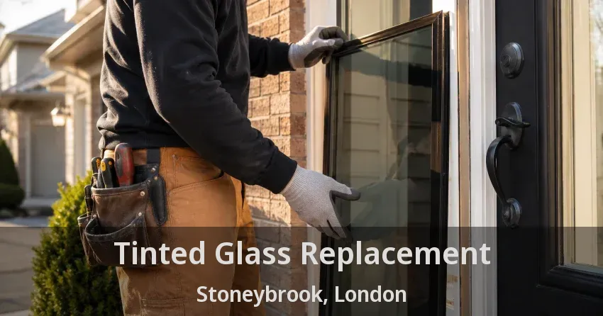 Tinted Glass Replacement Stoneybrook, London - ON
