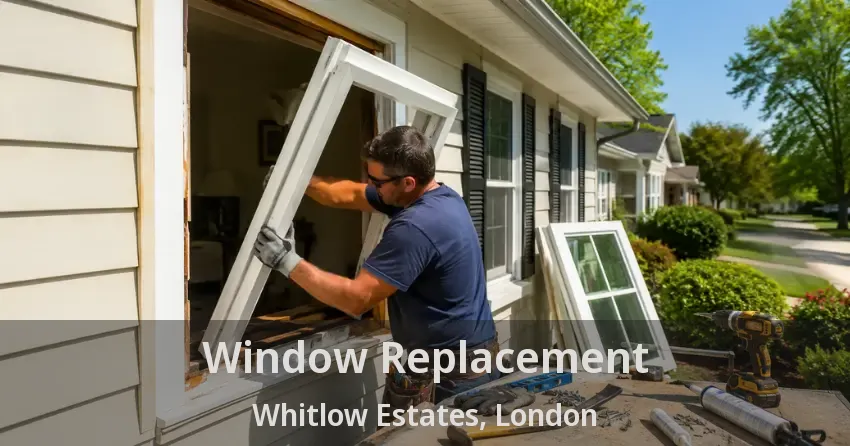 Window Replacement Whitlow Estates, London - ON